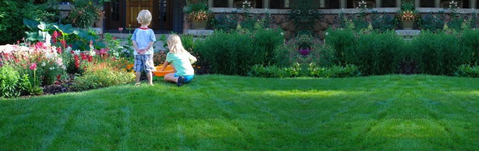 Lawn Care Home Slider 03